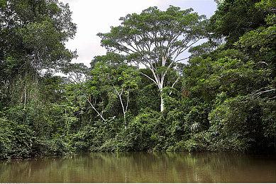 《霍格沃茨之遗》新预告 PS独家任务“闹鬼商店”